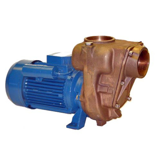 Gmp Eas8 Pump Self Priming Bronze Centrifugal Pump 230v 489 Lpm 18hm 7456